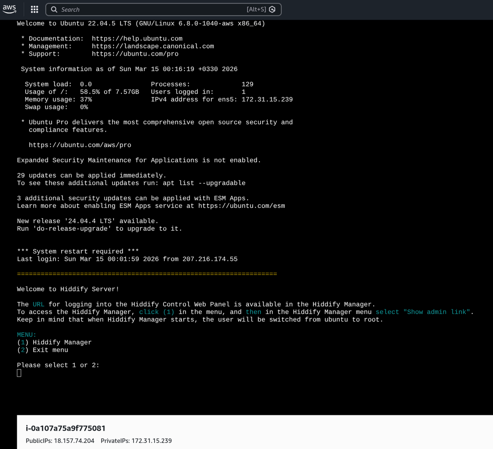 Browser-based terminal showing the Hiddify Server welcome message and menu with options: (1) Hiddify Manager, (2) Exit menu.